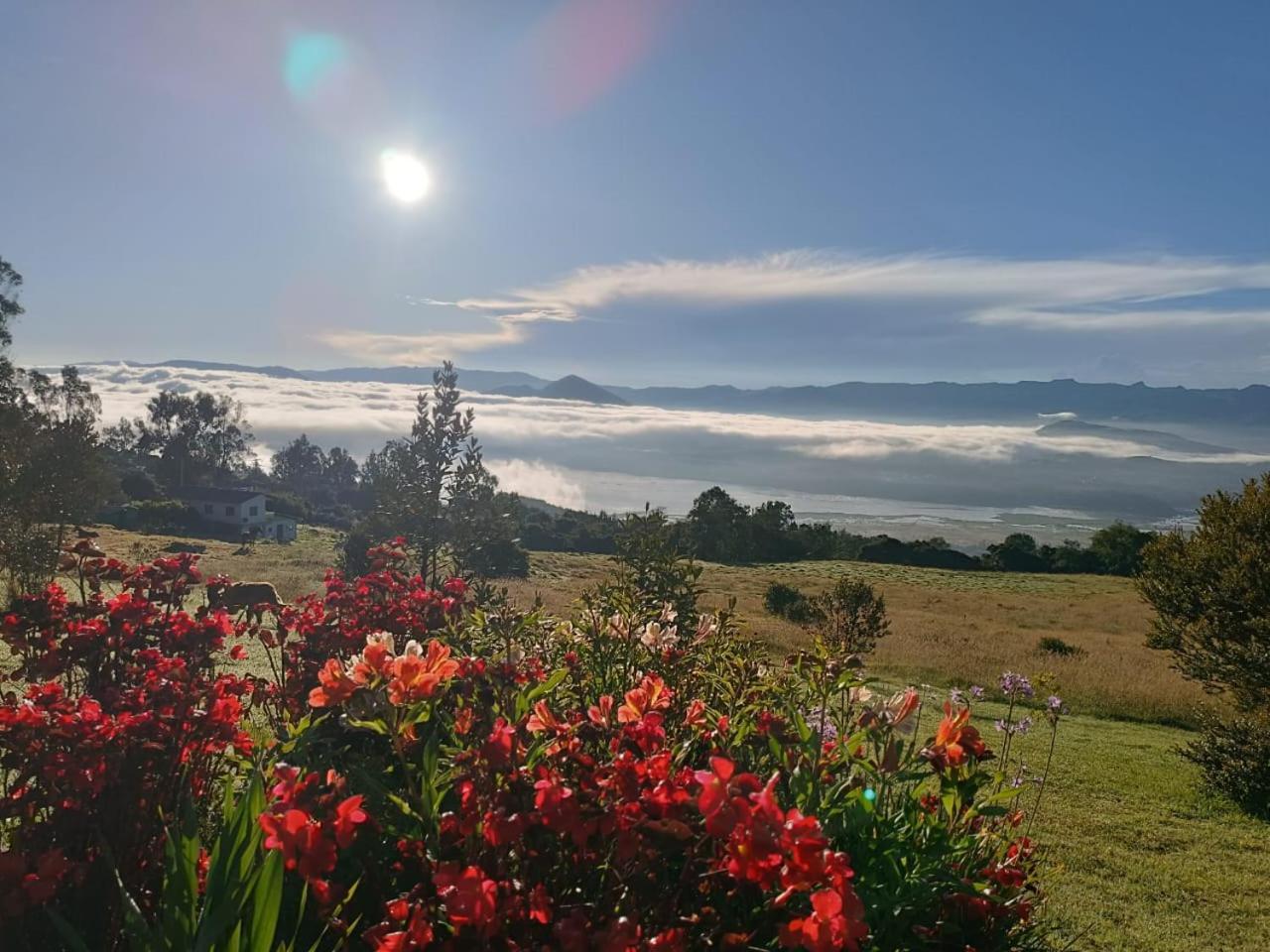 Glamping Hermoso Amanecer Guatavita Luaran gambar
